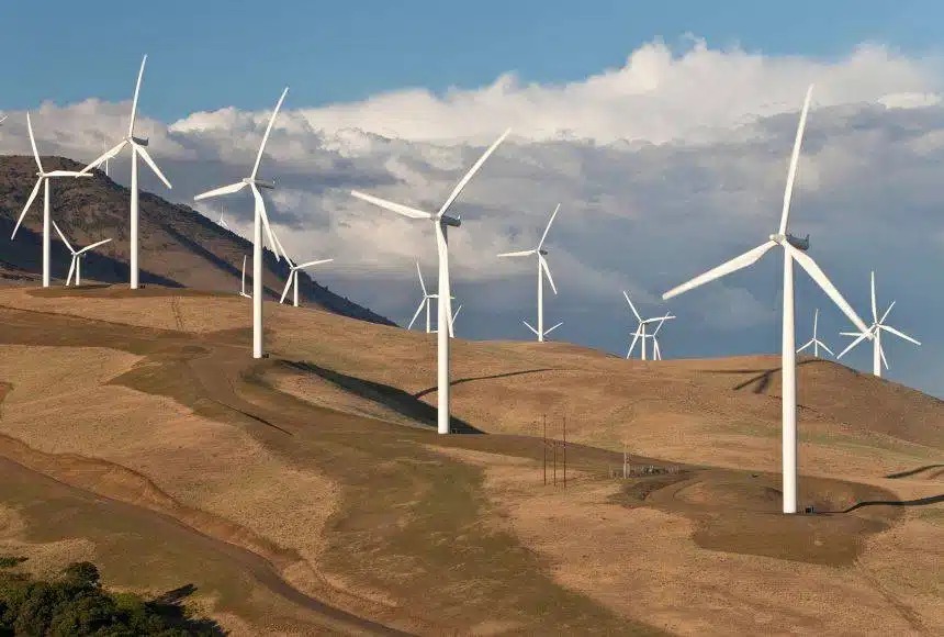 renewable-energy-wind-farm-1.jpg.jpg