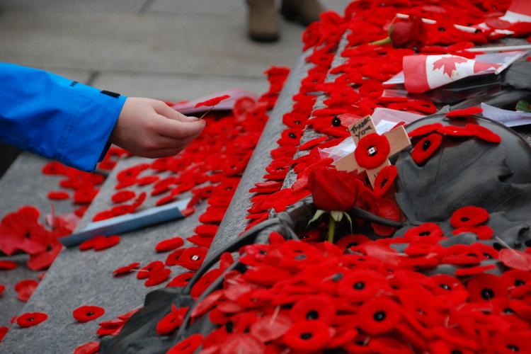 remembrance-day-poppies-tomb.jpg